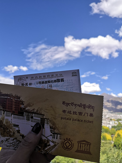 西藏旅行攻略-拉萨,大昭寺,八廓街,布达拉宫,卡若拉冰川