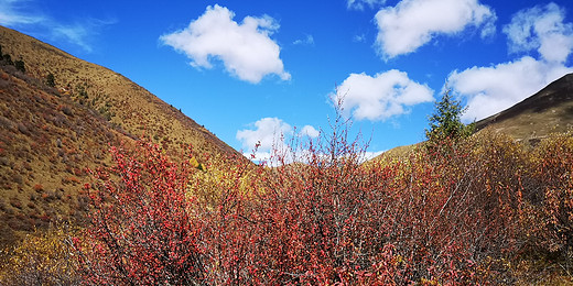 川西—甘南环游记（6）