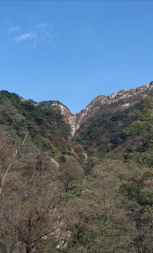 熊登泰山