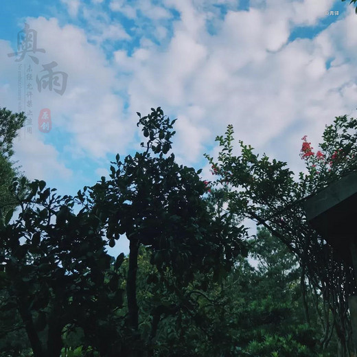 重庆太寺垭野奢星空帐篷 　一到秋天，上帝