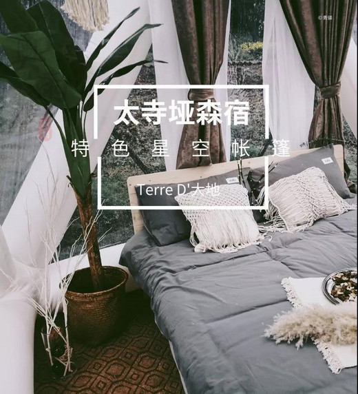 重庆太寺垭野奢星空帐篷 　一到秋天，上帝