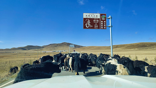 九寨沟+川西北，9日环线，