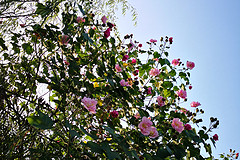 http://qyimg.iqingyi.com/inpost/20191029/23e3b337de247cde3eed999bd2a2272f.jpg!postcover