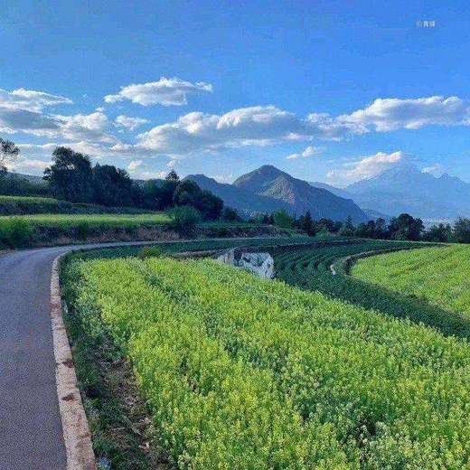 你与云南只差一场旅游！