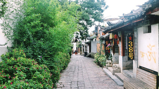 遇见“彩云之南”