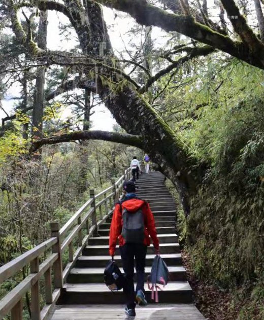 川西行