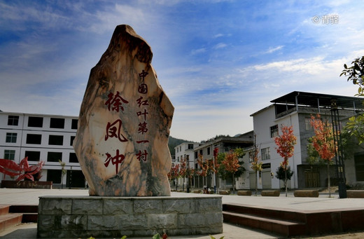 大别山的情结