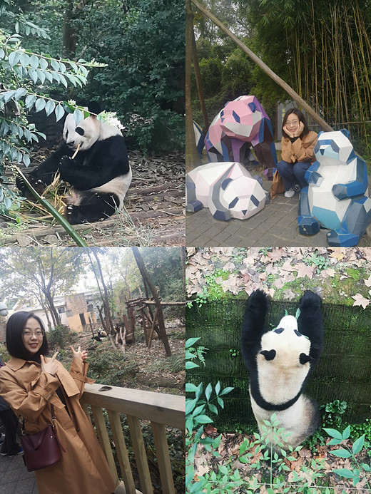 ￼记录￼