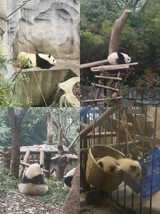 ￼记录￼