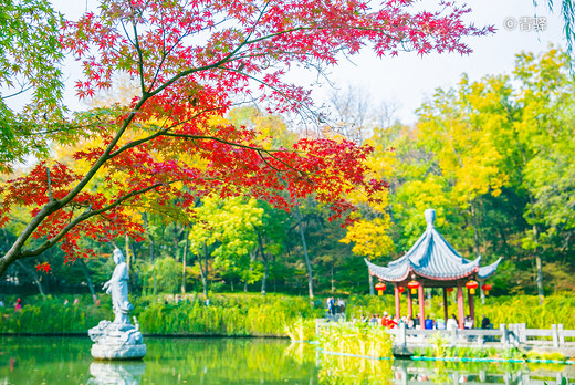 四大赏枫地，秋风起，南京变金陵-栖霞山