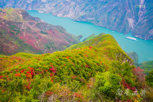 巫峡之巅新开一条神女天路，带你看三峡最美的红叶-长江三峡,巫山