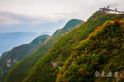 巫峡之巅新开一条神女天路，带你看三峡最美的红叶-长江三峡,巫山