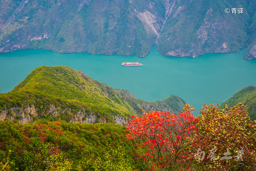 巫峡之巅新开一条神女天路，带你看三峡最美的红叶-长江三峡,巫山