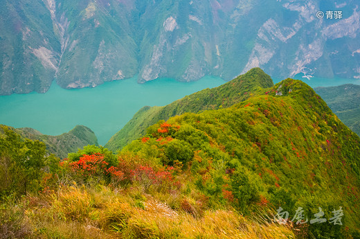 巫峡之巅新开一条神女天路，带你看三峡最美的红叶-长江三峡,巫山