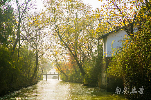 你的家乡冰天雪地了吗，我的家乡依然色彩斑斓，美若仙境-西溪湿地,杭州