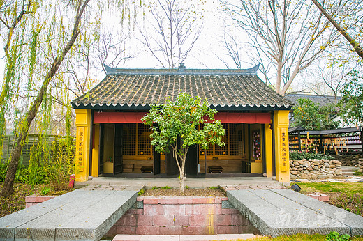 你的家乡冰天雪地了吗，我的家乡依然色彩斑斓，美若仙境-西溪湿地,杭州