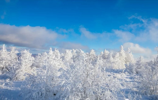 冰雪天路 | 越冷越热情~阿尔山的极致冰