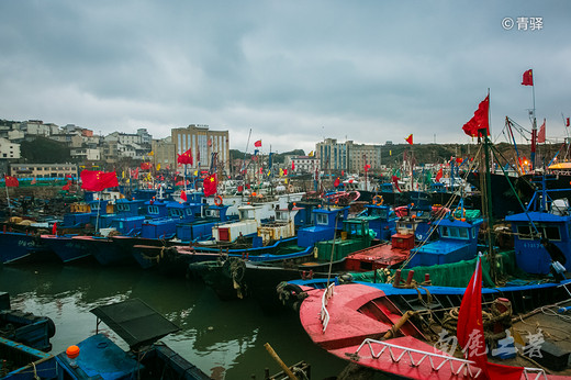 中国最大的渔场，渔归场面火爆，码头像打扫战场-舟山,嵊泗县