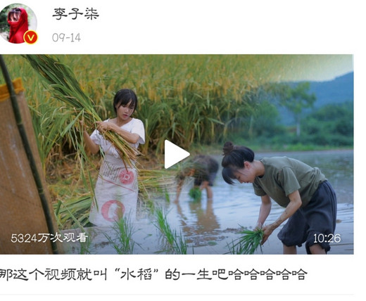 小阿晶的流水日记