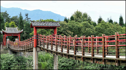 在成都，慢节奏行走（后篇）-都江堰,锦里