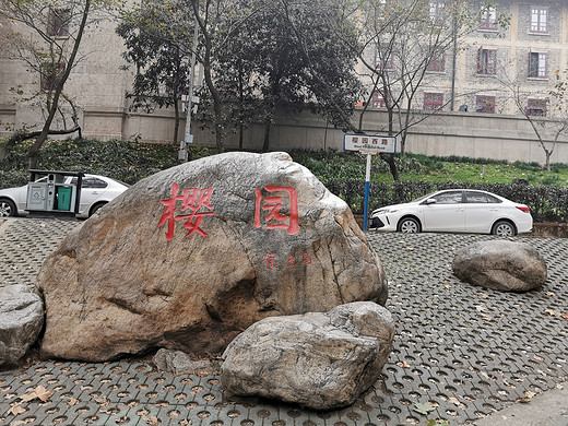 11月的一场游记——WH（西安出发）-武汉大学,江汉路,黄鹤楼,武汉