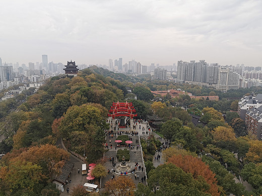 11月的一场游记——WH（西安出发）-武汉大学,江汉路,黄鹤楼,武汉