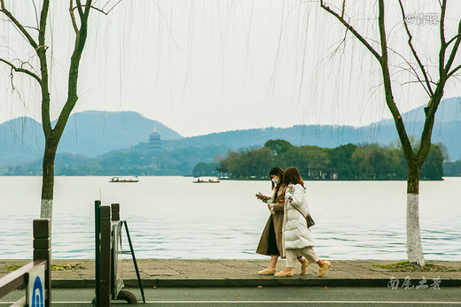 疫情平稳，西湖开放，游人带口罩赏孤山最美梅花-杭州