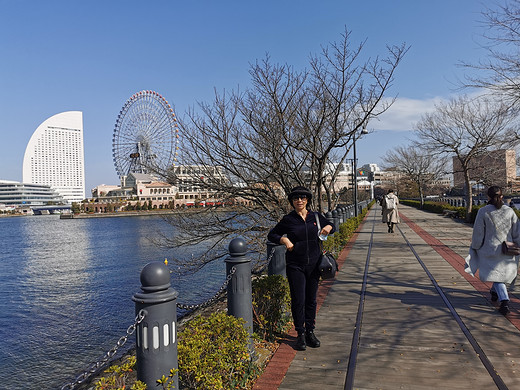 2020年春节之行--又见东京-横滨,大涌谷,箱根,池袋