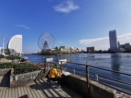 2020年春节之行--又见东京-横滨,大涌谷,箱根,池袋