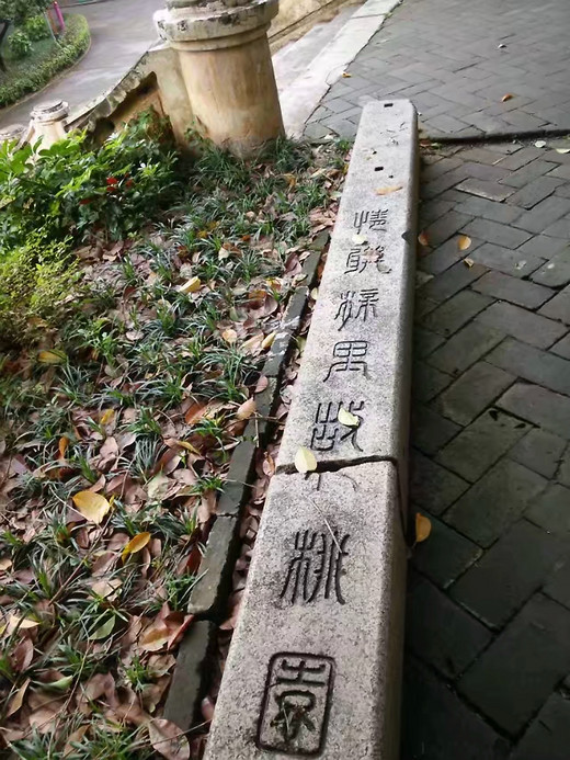 迟到的毕业旅行