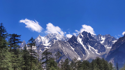 毕业如期而至，往后各自珍重-泸沽湖,玉龙雪山,丽江,洱海,苍山