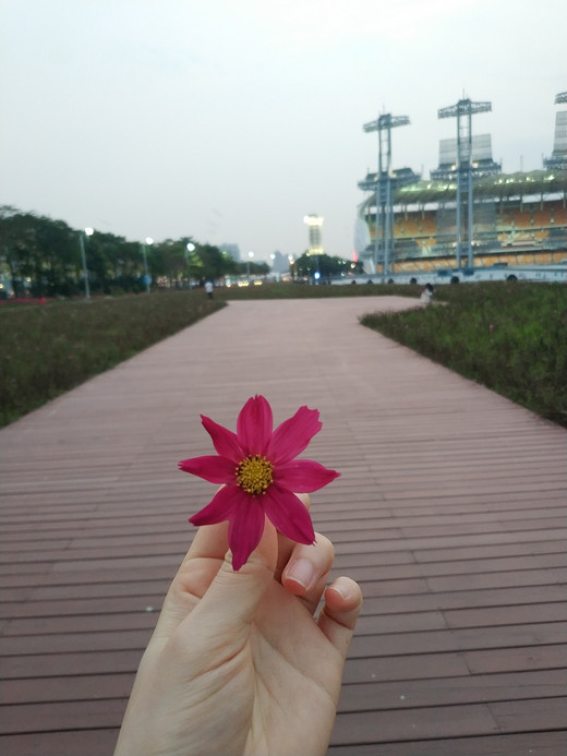 花城广场的傍晚-珠江新城,广州