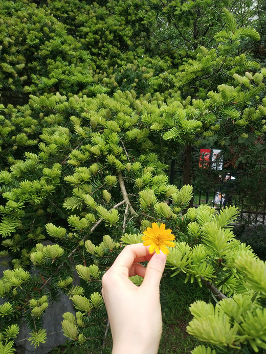 华南植物园半日卡-广州