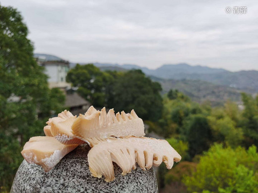 最美人间四月天（一）