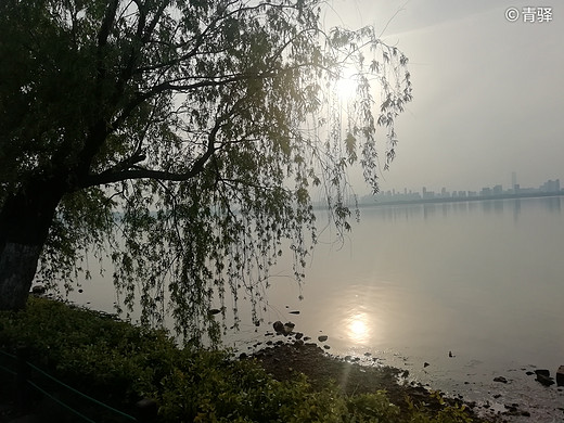 东湖-磨山景区半日游-武汉