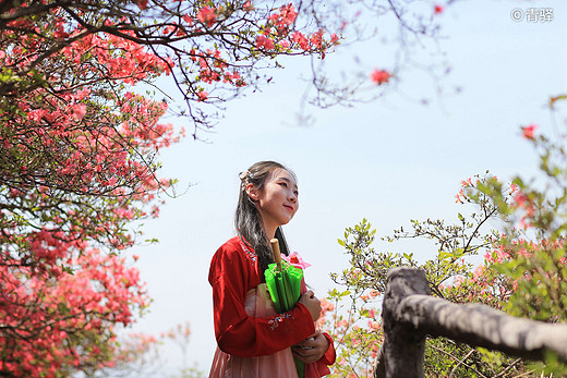 武汉近郊好去处，杜鹃花开成海、风光绮丽，值得一逛