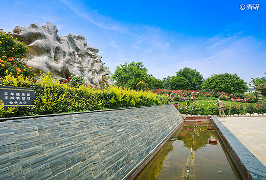 武汉近郊，华中最大规模的玫瑰园、花海如簇，无法抗拒的浪漫天堂