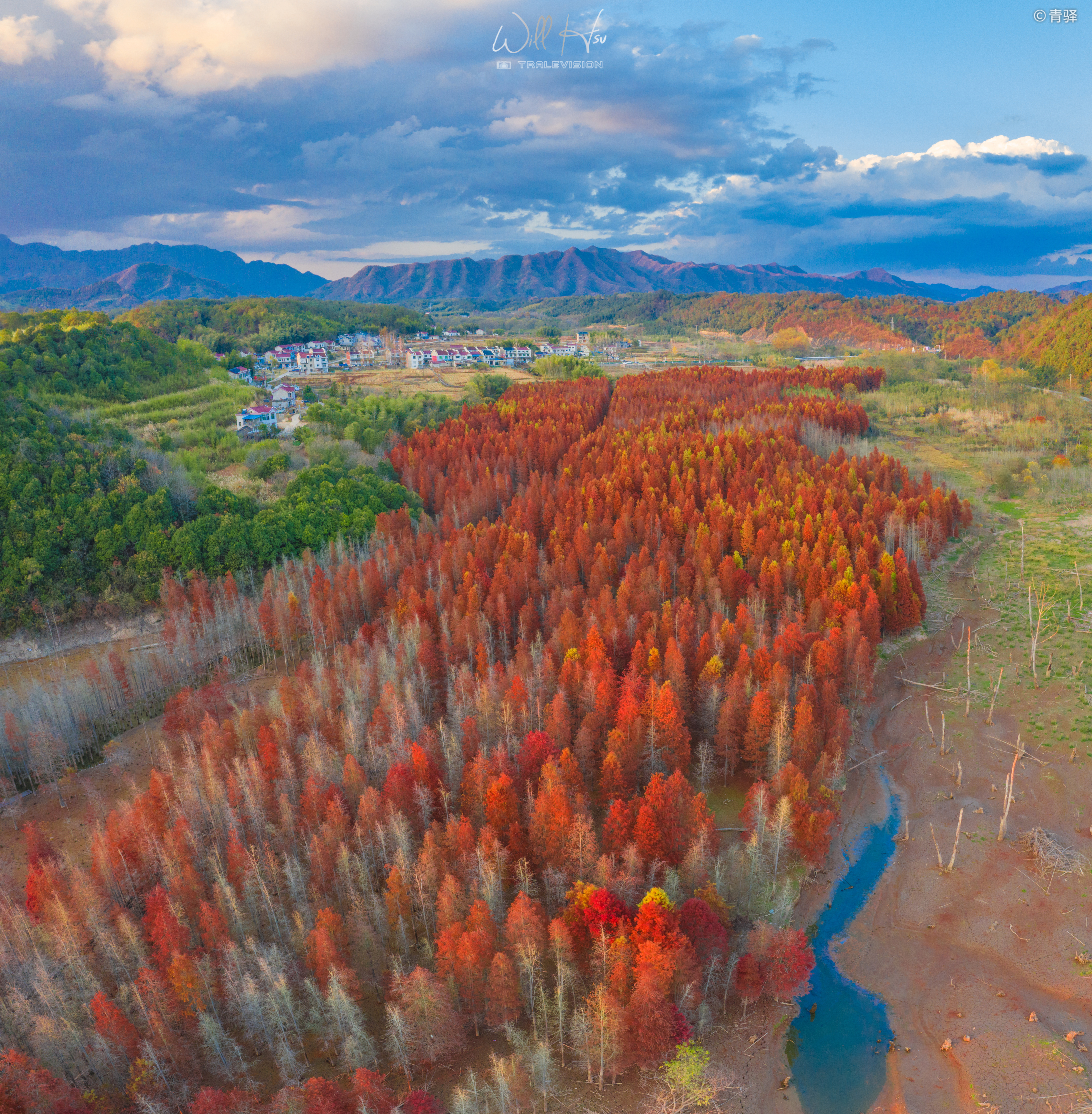 伟德bv1946官网-原创 - 中国日报网