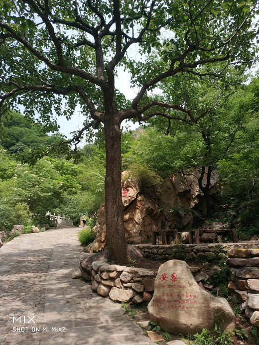 梨木台风景区