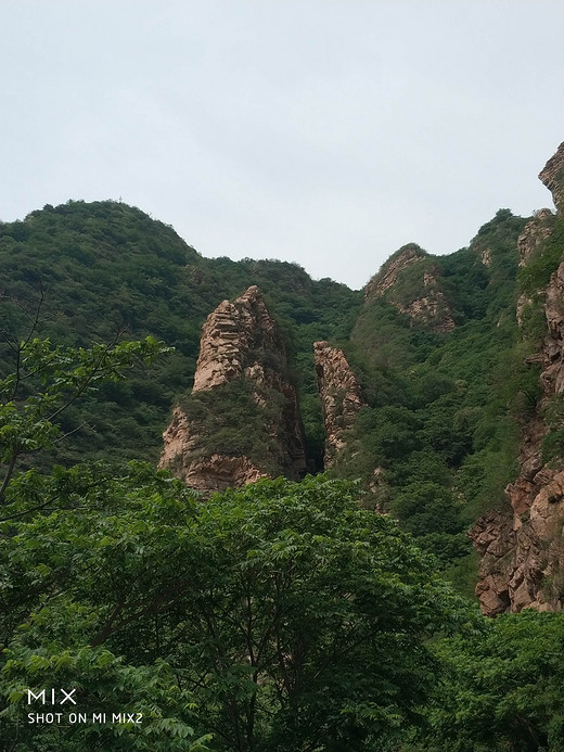 梨木台风景区