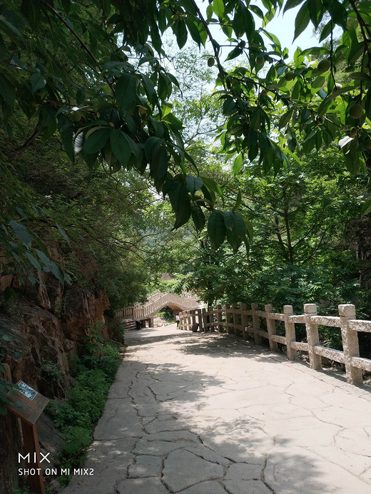 梨木台风景区