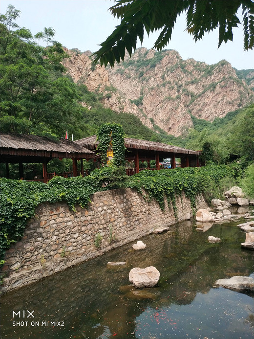 梨木台风景区