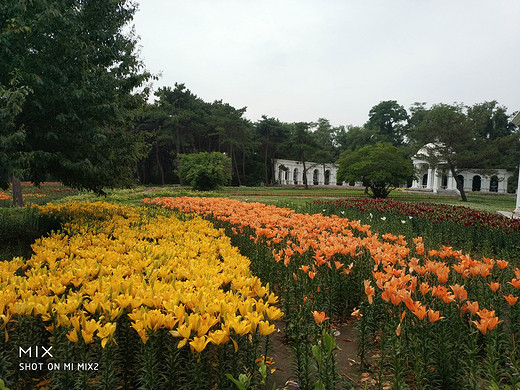 沈阳（植物园）世博园