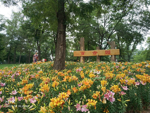 沈阳（植物园）世博园