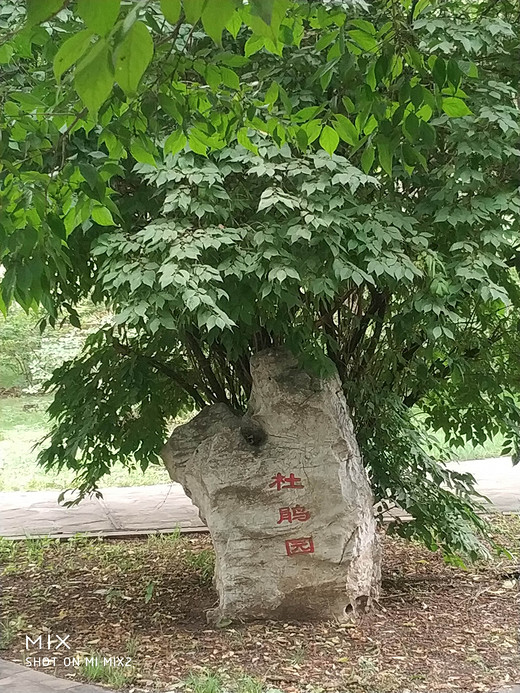 沈阳（植物园）世博园