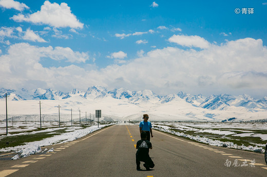 中国最美公路，一年开放3个月，错过等一年-天山大峡谷,库车县,巴音布鲁克草原,开都河,巴音布鲁克