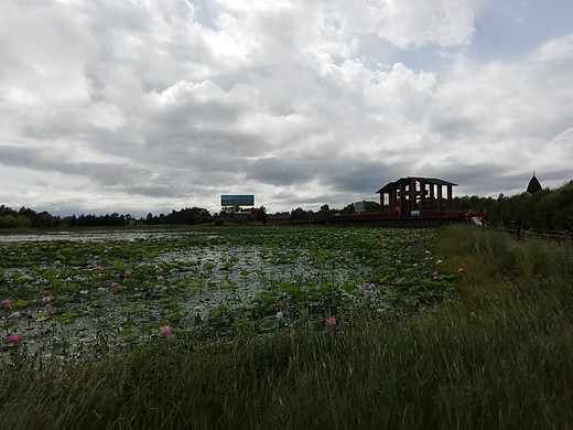新青国家湿地公园-黑龙江