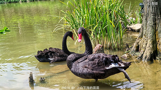 森林漂流+森境光影+冰川水谷+奇妙世界+火山温泉，两天一夜清远森波拉升级玩法