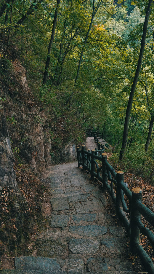 夏日清凉，黔州秘境，风光醉人心（二）-南充,甲秀楼,黔灵山,大七孔,小七孔