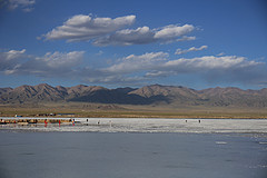 http://qyimg.iqingyi.com/inpost/20200906/ed7e745be9fb14f01d6be2871be89b42.jpg!postcover